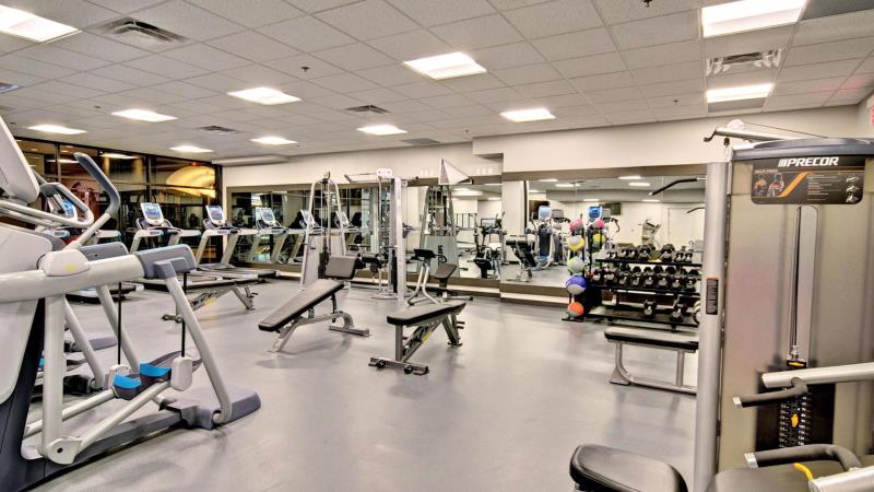 Une salle de sport entièrement équipée avec une variété de machines de cardio et de musculation dans un espace bien éclairé.
